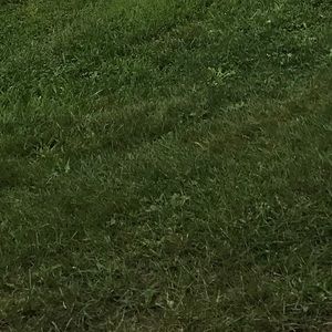 Meet your Posher, Fatima